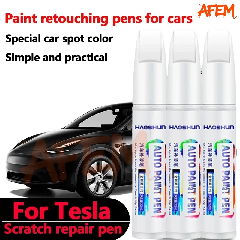 Model Kit Paint Remover - Adatto per Tesla Model 3 Y