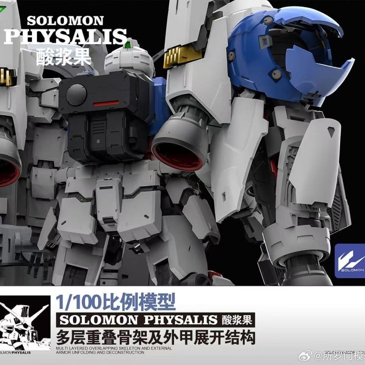 In Magazzino SOLOMON PHYSALIS  - Model Kit Daban recensione e prezzo